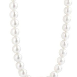 Shell Pearl Necklace